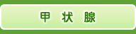 甲状腺