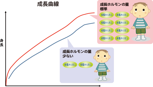 イラスト